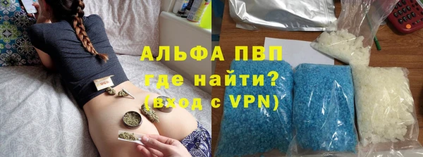 СК Алексин