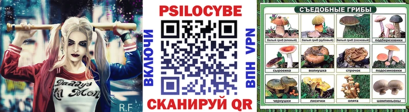 купить закладку  Катайск  Галлюциногенные грибы Cubensis 